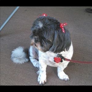 Meet your Posher, Latoya